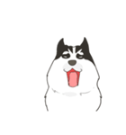 Our funny Husky（個別スタンプ：8）