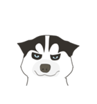 Our funny Husky（個別スタンプ：11）