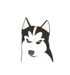 Our funny Husky（個別スタンプ：14）