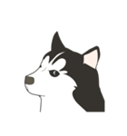 Our funny Husky（個別スタンプ：17）