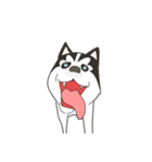 Our funny Husky（個別スタンプ：19）