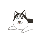 Our funny Husky（個別スタンプ：23）