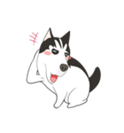 Our funny Husky（個別スタンプ：29）