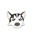 Our funny Husky（個別スタンプ：33）