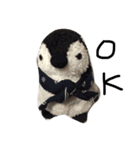 一応ぺんぎん（個別スタンプ：5）