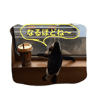 一応ぺんぎん（個別スタンプ：6）