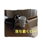 一応ぺんぎん（個別スタンプ：7）