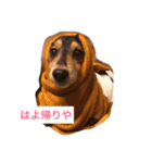 ココアさんやで（個別スタンプ：2）