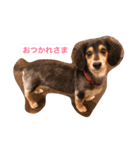 ココアさんやで（個別スタンプ：4）