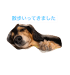 ココアさんやで（個別スタンプ：9）