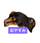 ココアさんやで（個別スタンプ：10）