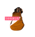ココアさんやで（個別スタンプ：11）