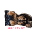 ココアさんやで（個別スタンプ：18）