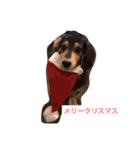 ココアさんやで（個別スタンプ：22）