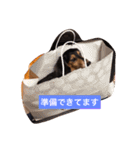 ココアさんやで（個別スタンプ：24）