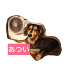 ココアさんやで（個別スタンプ：26）