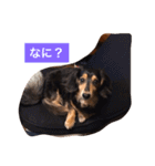 ココアさんやで（個別スタンプ：27）
