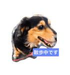 ココアさんやで（個別スタンプ：30）