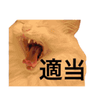 うちの3兄弟 生意気猫（個別スタンプ：8）