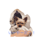 あまえんぼむーたん①（個別スタンプ：2）