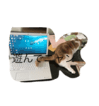 Mof the Cat（個別スタンプ：4）