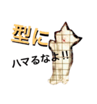 うちの3兄弟 生意気猫 2（個別スタンプ：32）