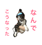 福さん 〜日常編〜（個別スタンプ：4）