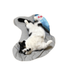 人形⁉︎（個別スタンプ：1）