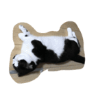 人形⁉︎（個別スタンプ：2）