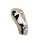 人形⁉︎（個別スタンプ：5）