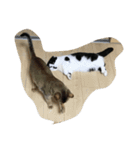 人形⁉︎（個別スタンプ：7）