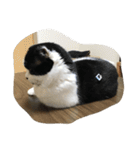 人形⁉︎（個別スタンプ：14）