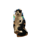 人形⁉︎（個別スタンプ：15）