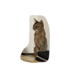 人形⁉︎（個別スタンプ：18）