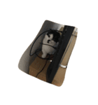 人形⁉︎（個別スタンプ：21）