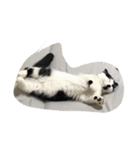 人形⁉︎（個別スタンプ：22）