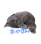 むひあぐ（個別スタンプ：1）