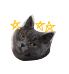 むひあぐ（個別スタンプ：4）