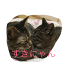 愉快な猫ちゃんず（個別スタンプ：8）