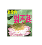 Flower language by Hu and Lu（個別スタンプ：16）