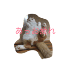 かつどんの日常1（個別スタンプ：3）