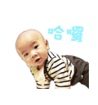 Taiyang Hung Baby（個別スタンプ：10）