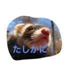 まぶちゃん（個別スタンプ：4）