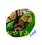 まぶちゃん（個別スタンプ：6）