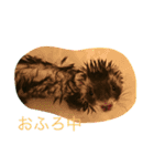 まぶちゃん（個別スタンプ：7）