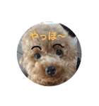 ニャンコ先生と清。（個別スタンプ：8）