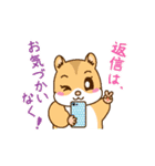 はむちゃんたちの日常使えるスタンプ（個別スタンプ：12）