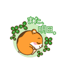 はむちゃんたちの日常使えるスタンプ（個別スタンプ：13）