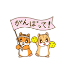 はむちゃんたちの日常使えるスタンプ（個別スタンプ：24）