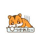 はむちゃんたちの日常使えるスタンプ（個別スタンプ：36）